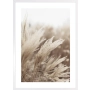 OBRAZ PAMPAS GRASS IN THE SUN NO.1 Suszona trawa pampasowa w słońcu